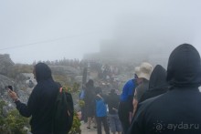 Африканский калейдоскоп. Часть 3