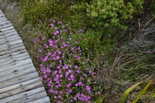 Африканский калейдоскоп. Часть 3