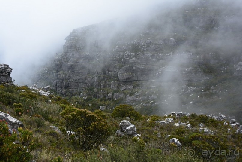 Африканский калейдоскоп. Часть 3