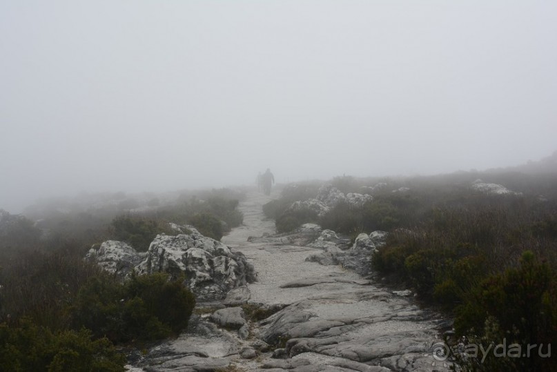 Африканский калейдоскоп. Часть 3