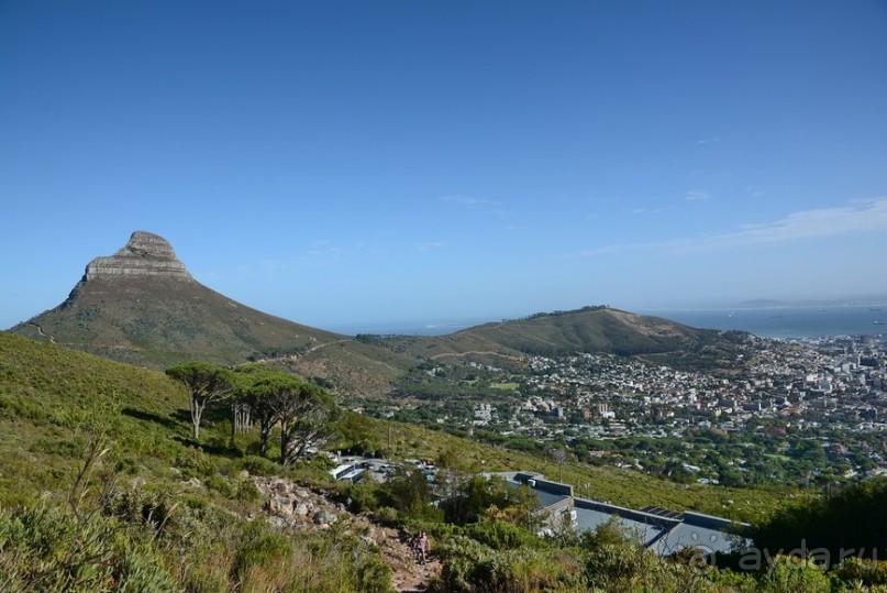 Африканский калейдоскоп. Часть 3