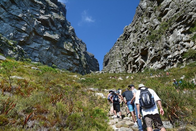 Африканский калейдоскоп. Часть 3