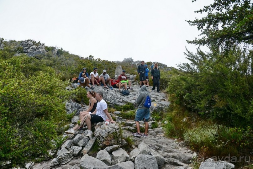 Африканский калейдоскоп. Часть 3