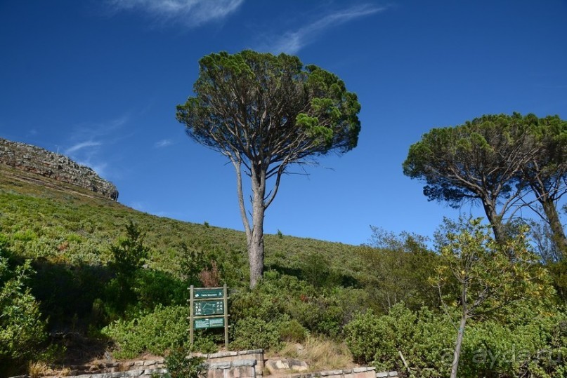 Африканский калейдоскоп. Часть 3