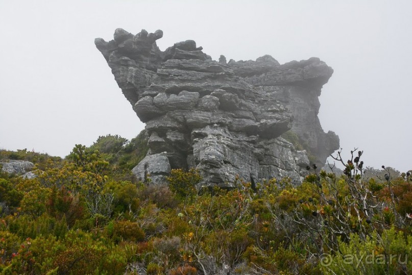 Африканский калейдоскоп. Часть 3