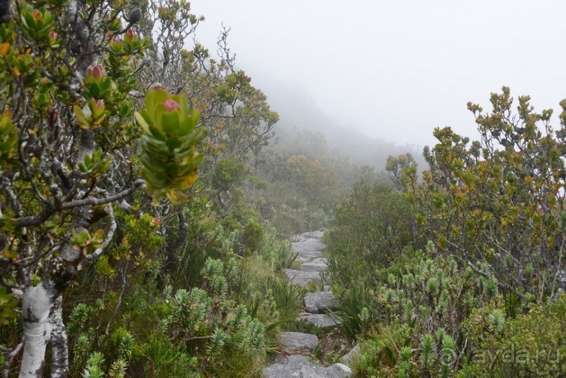 Африканский калейдоскоп. Часть 3