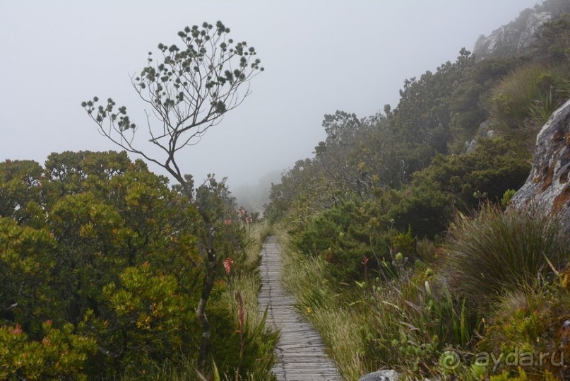 Африканский калейдоскоп. Часть 3