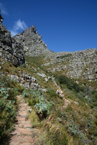 Африканский калейдоскоп. Часть 3