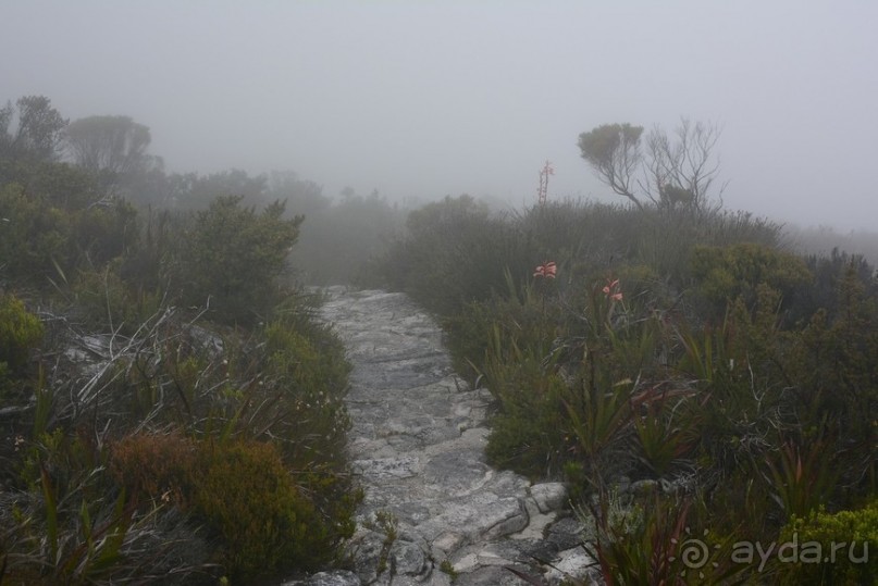 Африканский калейдоскоп. Часть 3