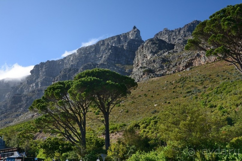 Африканский калейдоскоп. Часть 3