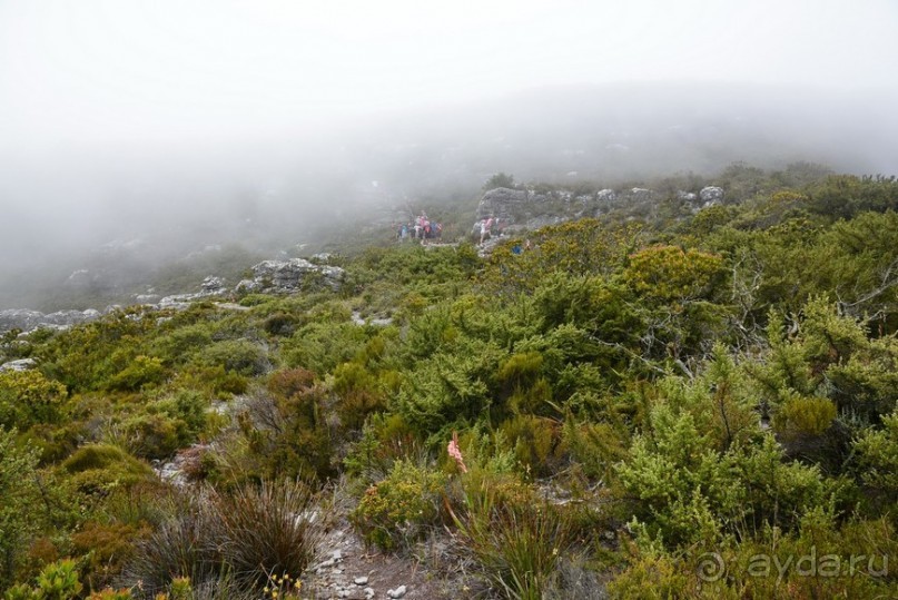 Африканский калейдоскоп. Часть 3