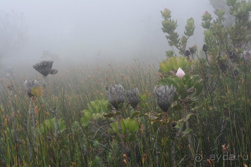 Африканский калейдоскоп. Часть 3