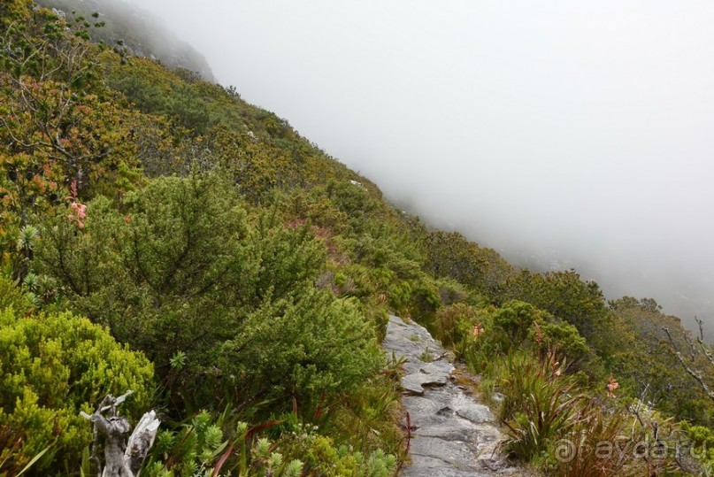 Африканский калейдоскоп. Часть 3