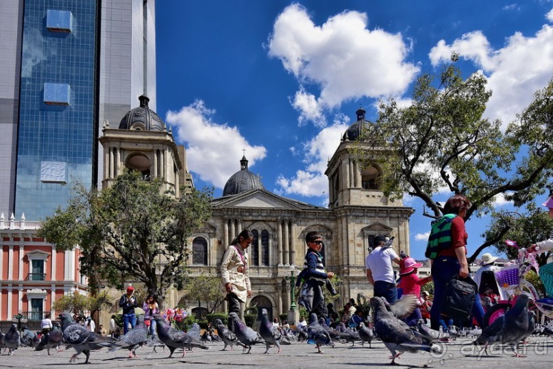 Круг вокруг Ла-Паса