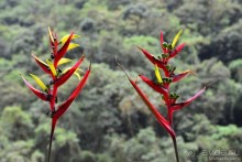 Американские горки (декабрь 2012-январь 2013) Часть 2