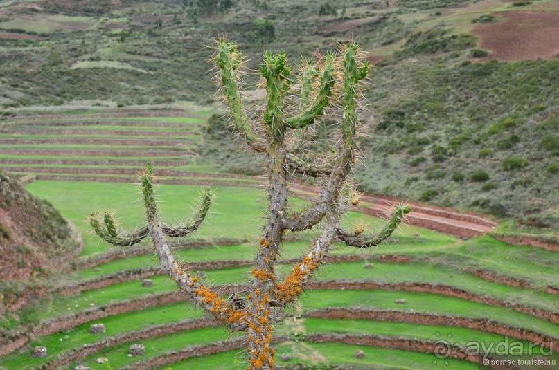 Американские горки (декабрь 2012-январь 2013) Часть 2