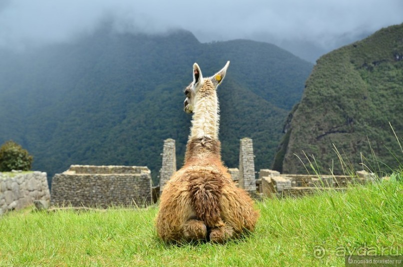 Американские горки (декабрь 2012-январь 2013) Часть 2