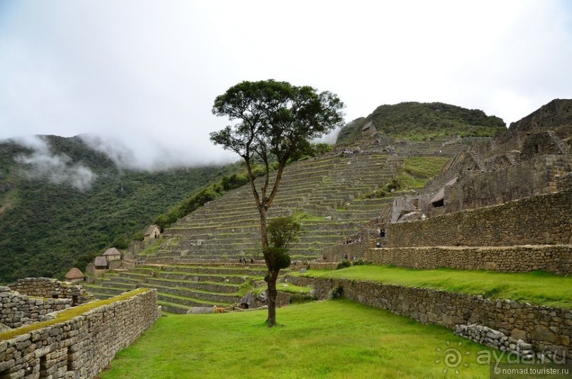 Американские горки (декабрь 2012-январь 2013) Часть 2