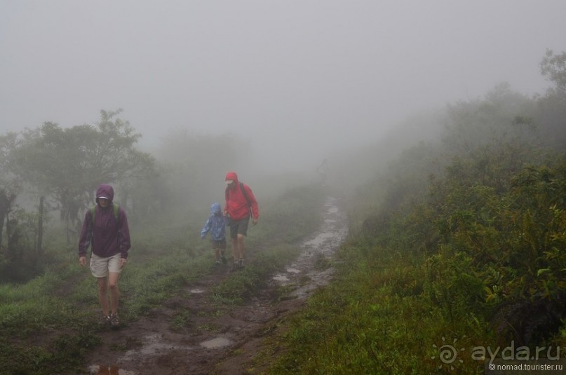 Американские горки (декабрь 2012-январь 2013). Часть 10