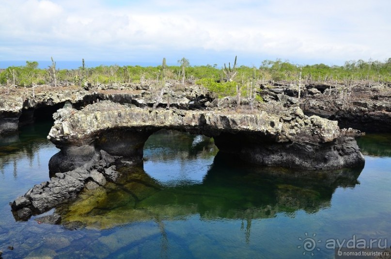 Американские горки (декабрь 2012-январь 2013). Часть 10