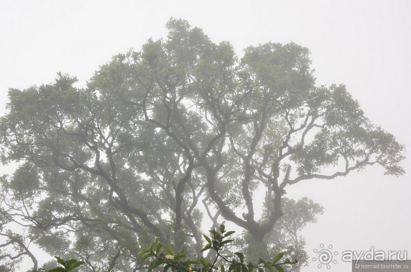 Американские горки (декабрь 2012-январь 2013). Часть 10