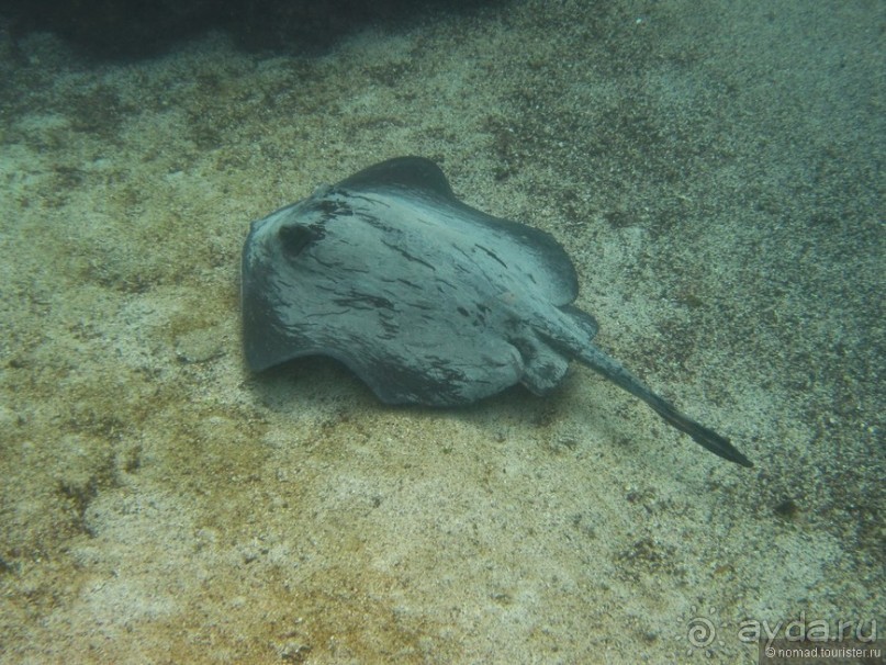 Американские горки (декабрь 2012-январь 2013). Часть 10