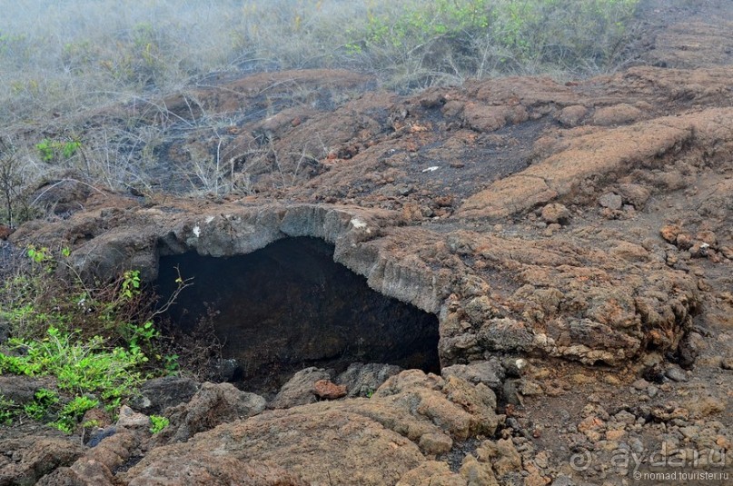 Американские горки (декабрь 2012-январь 2013). Часть 10