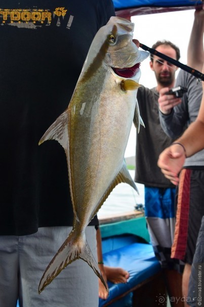 Американские горки (декабрь 2012-январь 2013). Часть 10