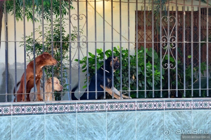 Американские горки (декабрь 2012-январь 2013). Часть 10