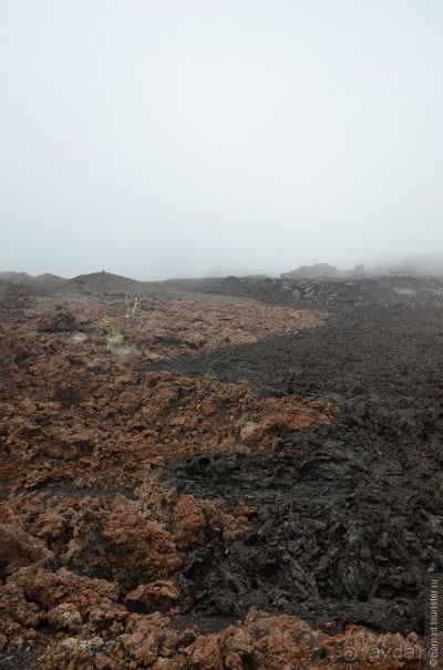 Американские горки (декабрь 2012-январь 2013). Часть 10