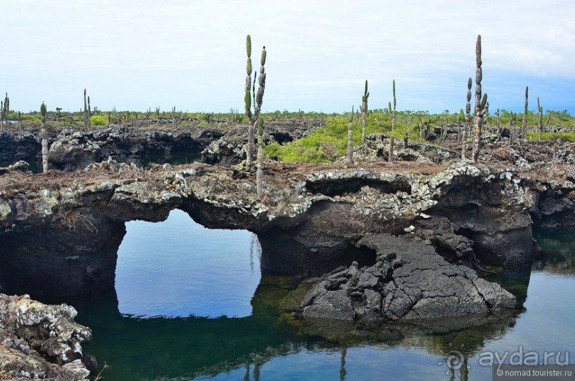 Американские горки (декабрь 2012-январь 2013). Часть 10
