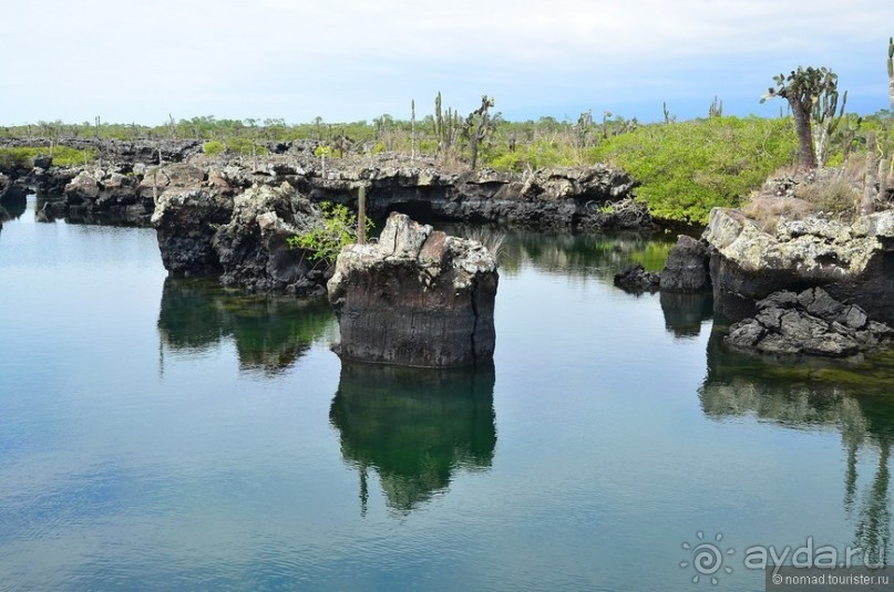 Американские горки (декабрь 2012-январь 2013). Часть 10