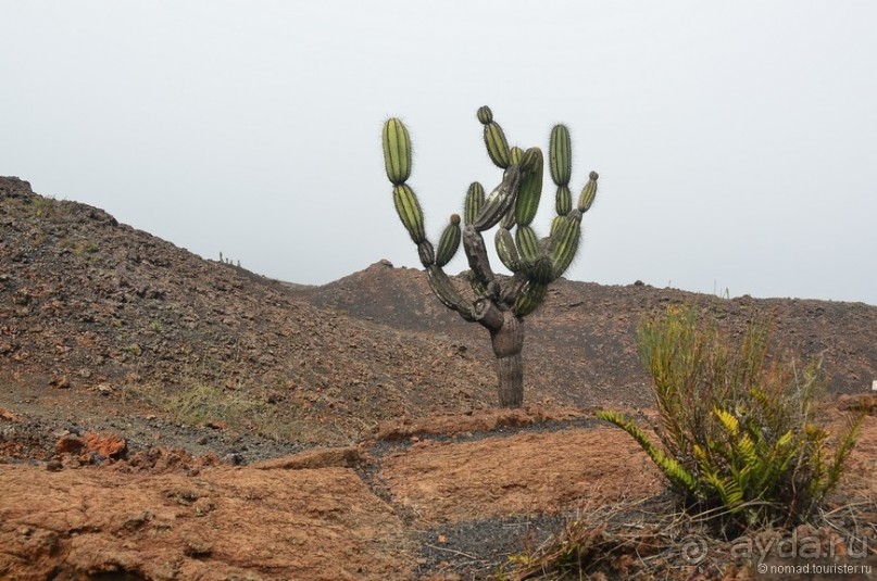Американские горки (декабрь 2012-январь 2013). Часть 10