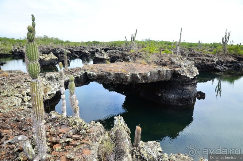 Американские горки (декабрь 2012-январь 2013). Часть 10