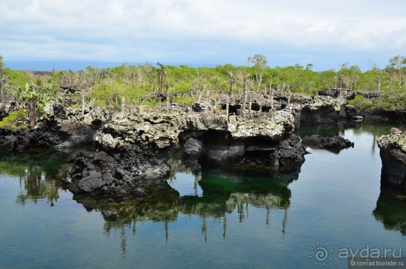 Американские горки (декабрь 2012-январь 2013). Часть 10