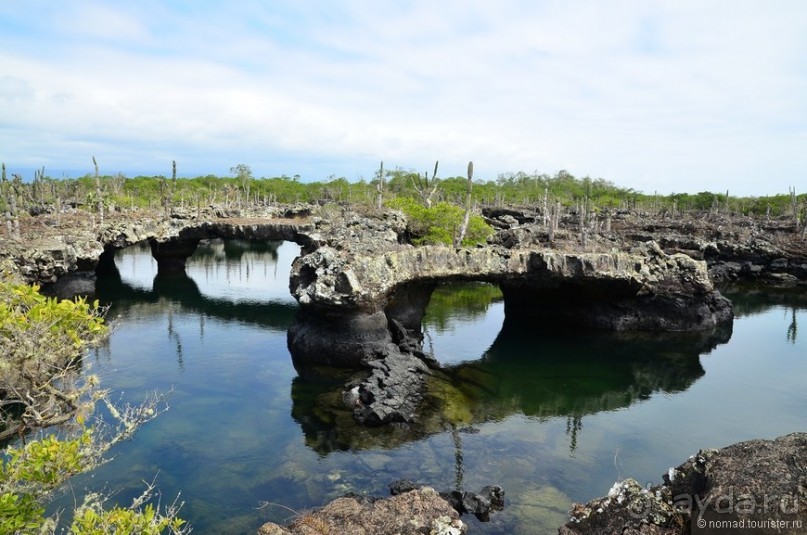 Американские горки (декабрь 2012-январь 2013). Часть 10
