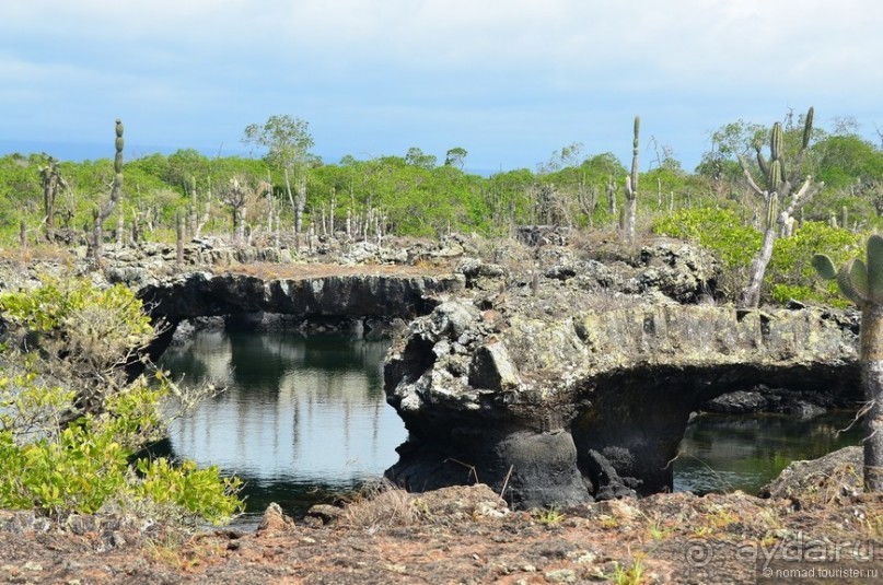 Американские горки (декабрь 2012-январь 2013). Часть 10
