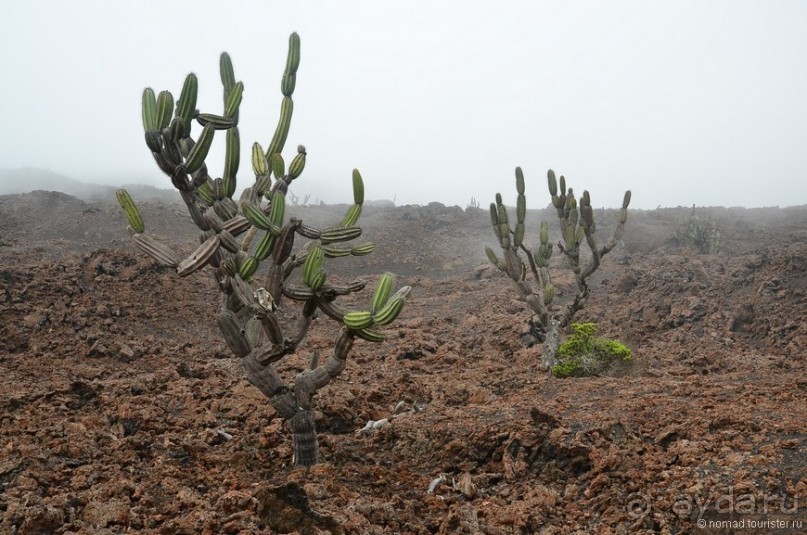 Американские горки (декабрь 2012-январь 2013). Часть 10