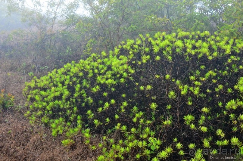 Американские горки (декабрь 2012-январь 2013). Часть 10
