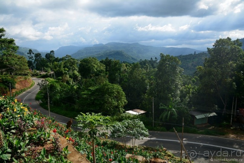 Цейлон на троих. Часть 4