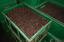 Цейлон на троих. Часть 4