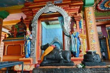 Цейлон на троих. Часть 4