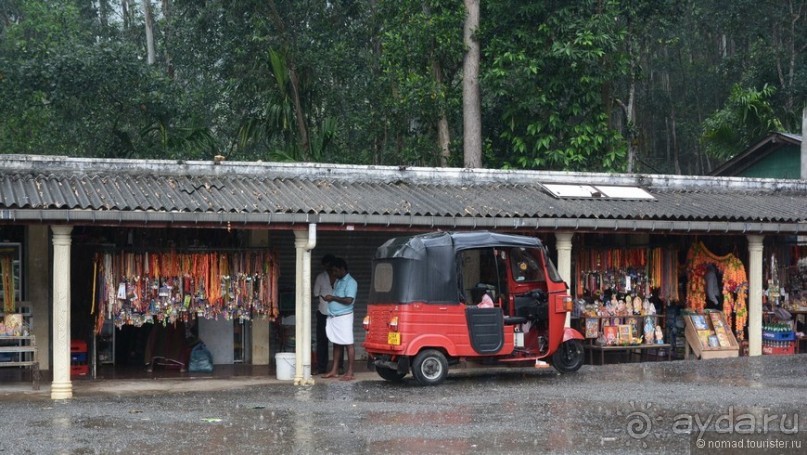 Цейлон на троих. Часть 4