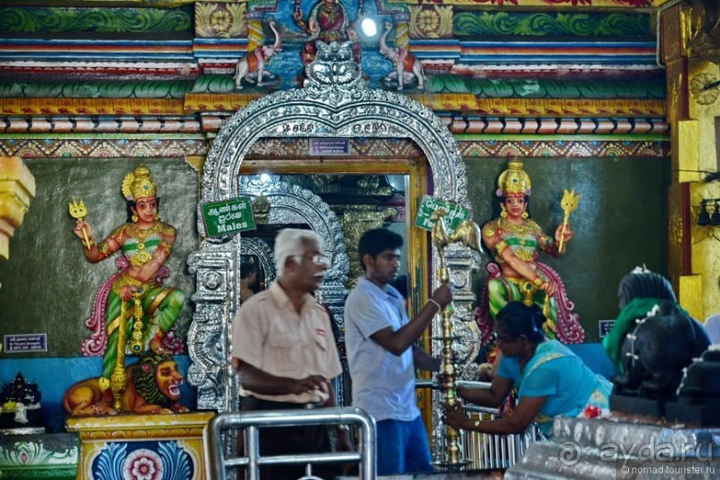 Цейлон на троих. Часть 4