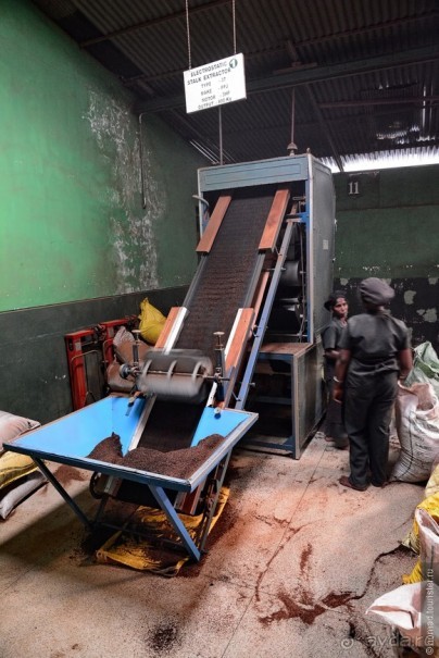 Цейлон на троих. Часть 4