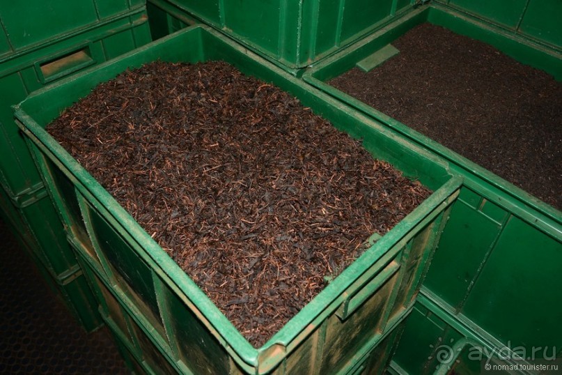 Цейлон на троих. Часть 4