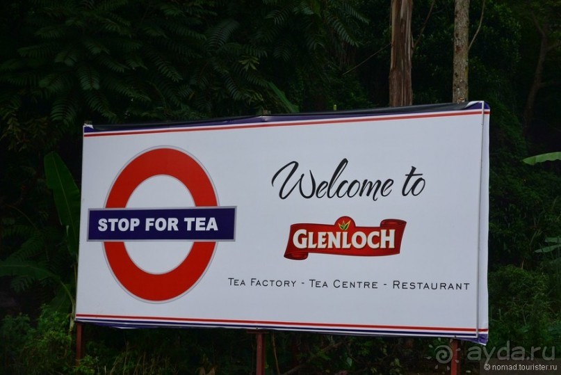 Цейлон на троих. Часть 4