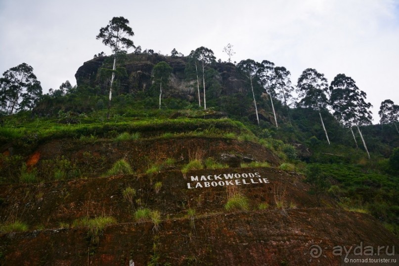 Цейлон на троих. Часть 4