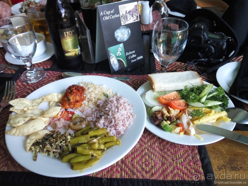 Цейлон на троих. Часть 4