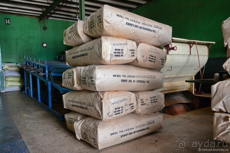 Цейлон на троих. Часть 4